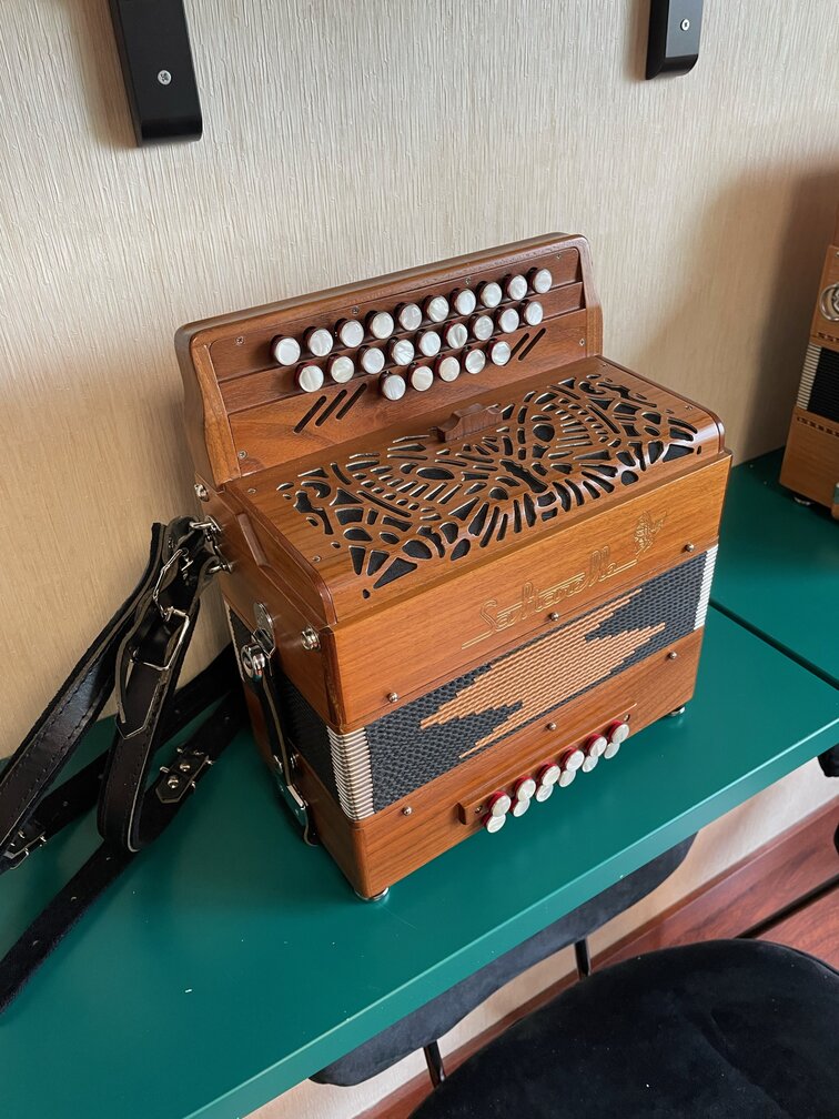 Modèle d'accordéon Romané